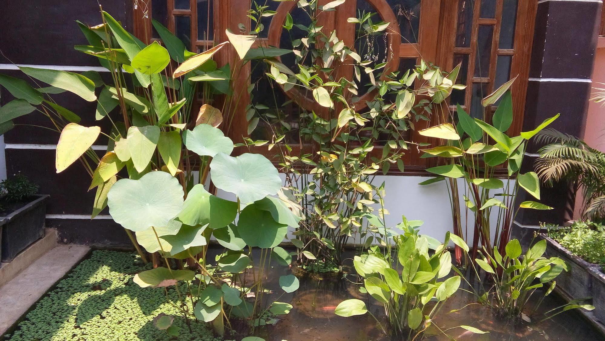 Hotel Urban Boutique Siem Reap